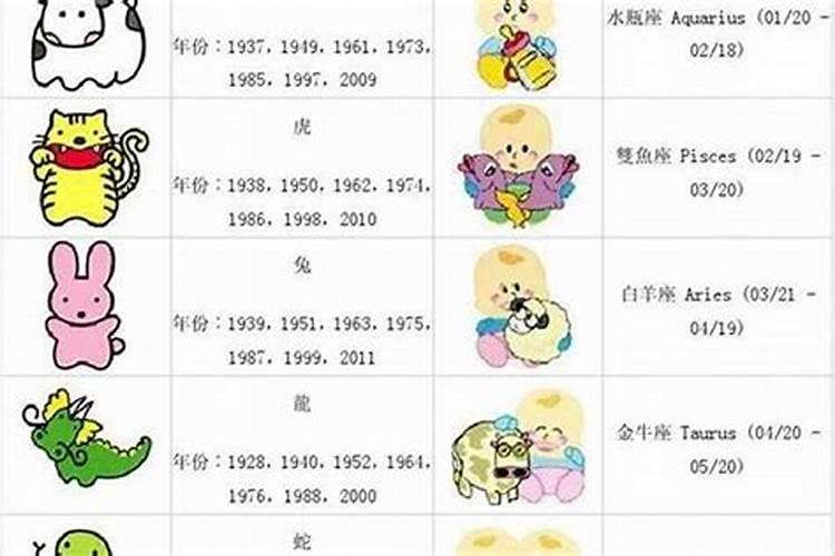 属龙多大岁数2021年