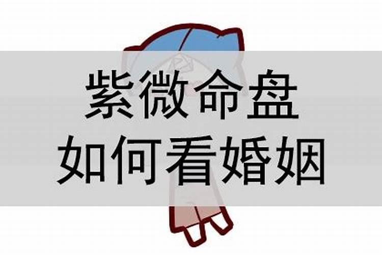 八字紫薇哪个看婚姻