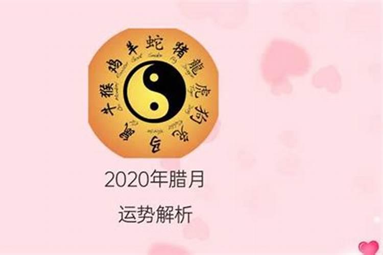 2020年腊月十四属什么生肖啊女宝宝