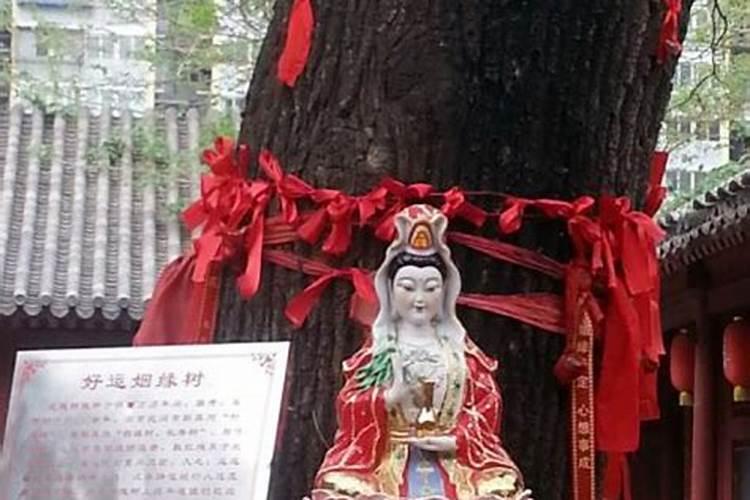 优秀的女人婚姻都不顺