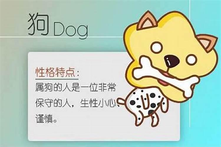 属猴和属狗相合不合