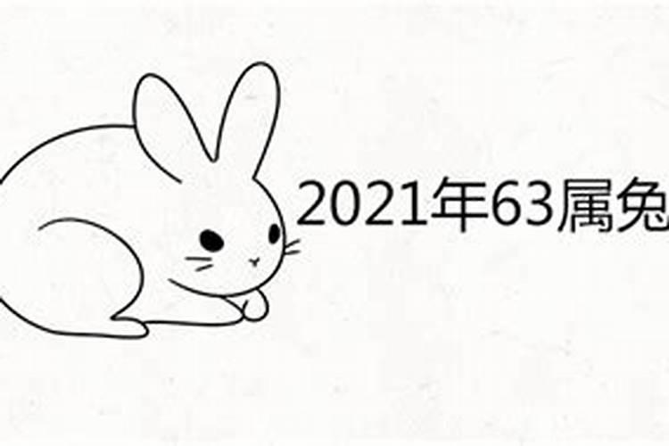 属兔男2021年全年运势详解