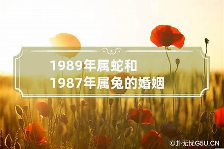 1987年婚姻配对