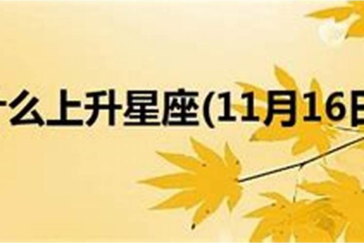 2006年11月16日阳历是什么星座