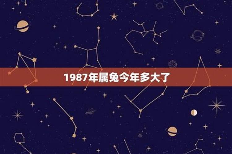 属兔1987年今年多大