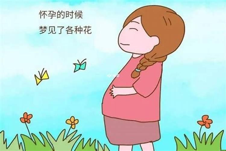 孕妇梦见什么动物好