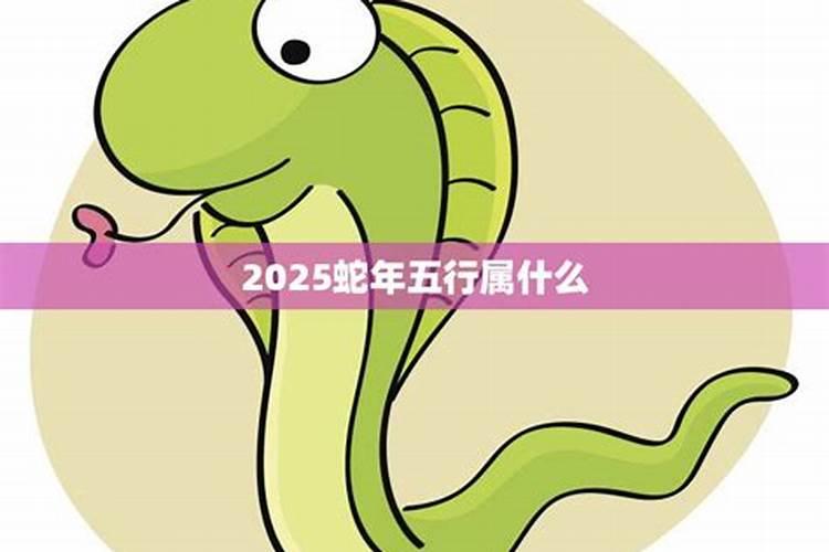 2025蛇是什么命五行属什么