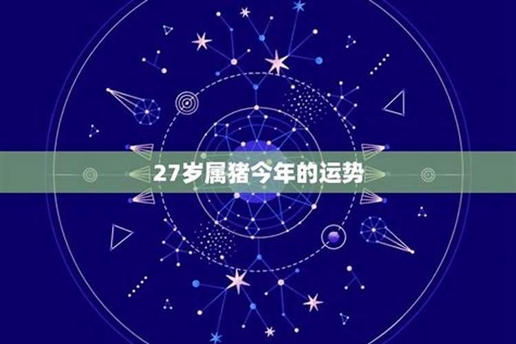 今年27岁属猪的爱情运气