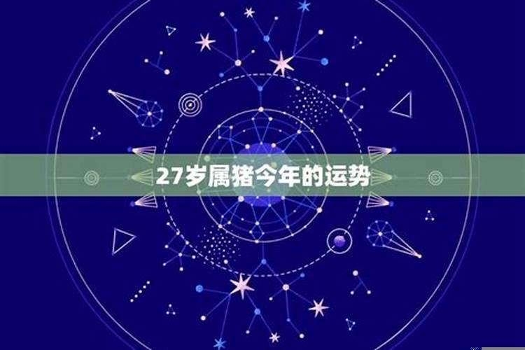 今年27岁属猪的爱情运气