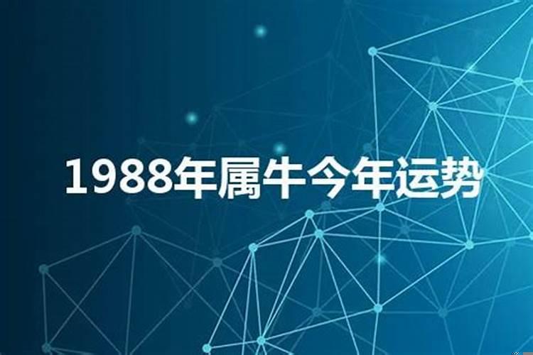 1988年属牛人2022年运势运程