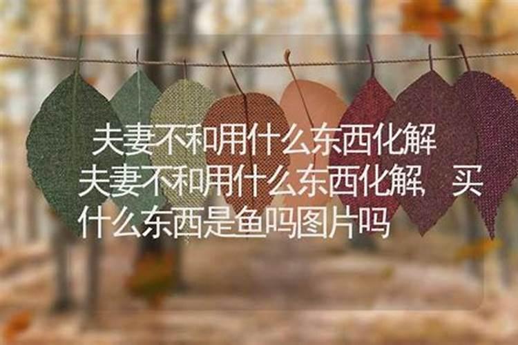 婚姻不合如何化解