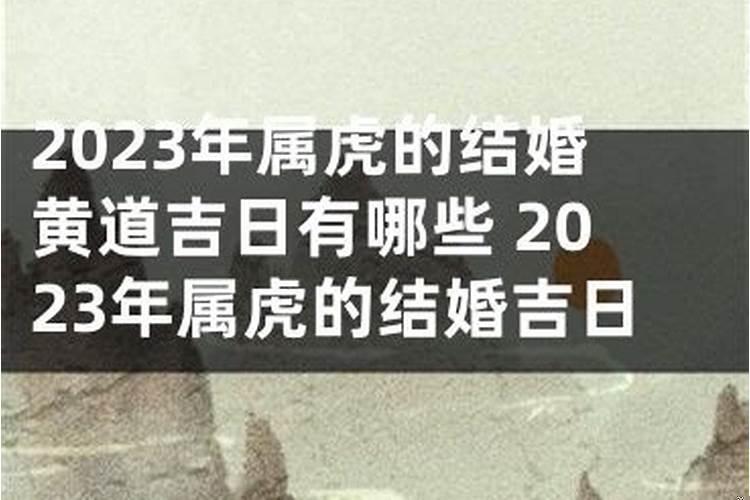 属狗和属虎2021年结婚黄道吉日有哪些