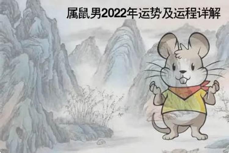 2022鼠人运势运程