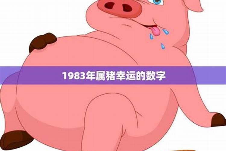 83年属猪车牌幸运数字