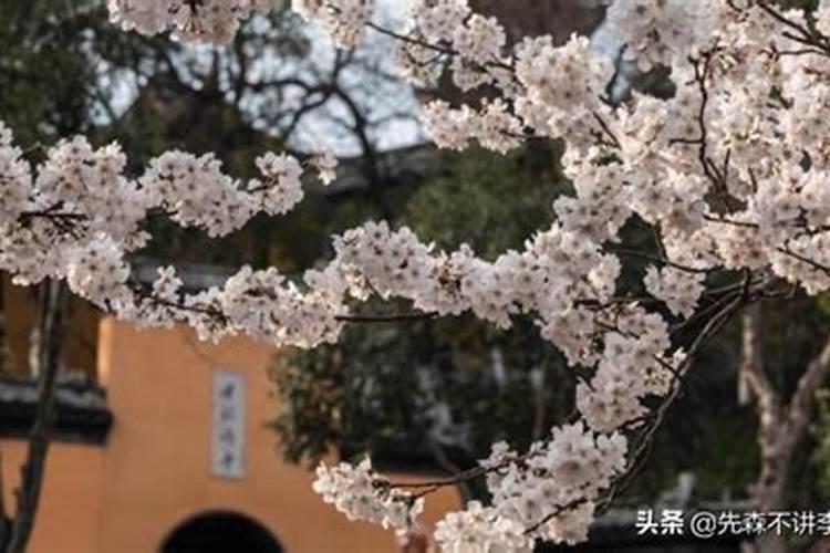 鸡鸣寺求姻缘求来的好吗知乎