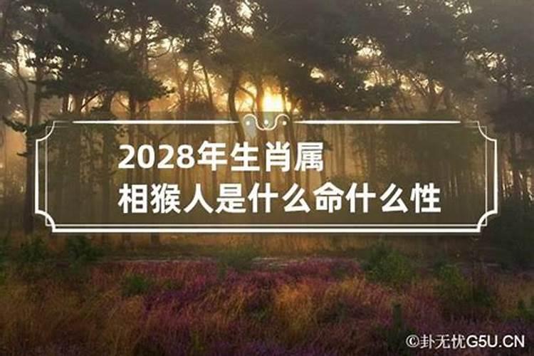 2028年属猴五行属什么命