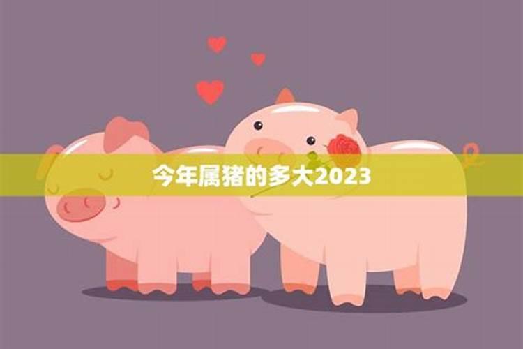 今年属猪的人不顺利怎么办2020