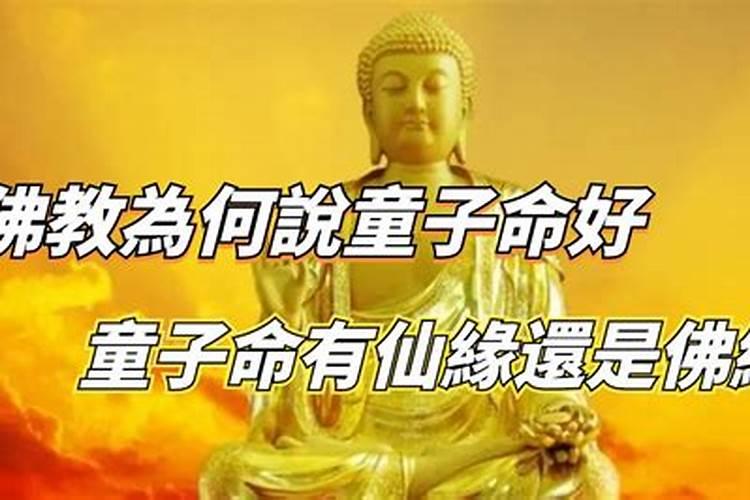 生辰八字看是什么命金木水火土