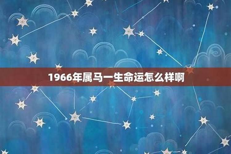 1966年属马的今年运气怎么样