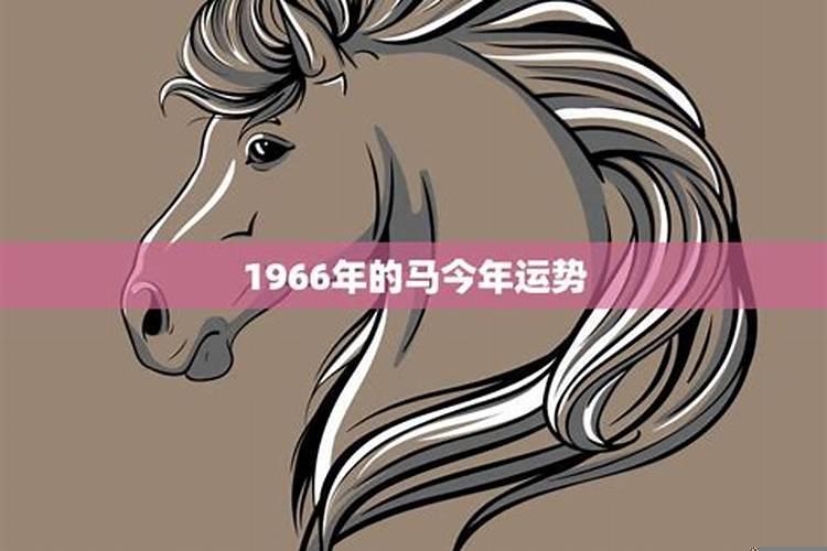 1966年的马今年什么运气