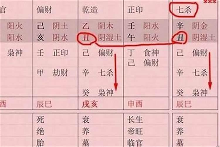 兔可以在本命年结婚吗