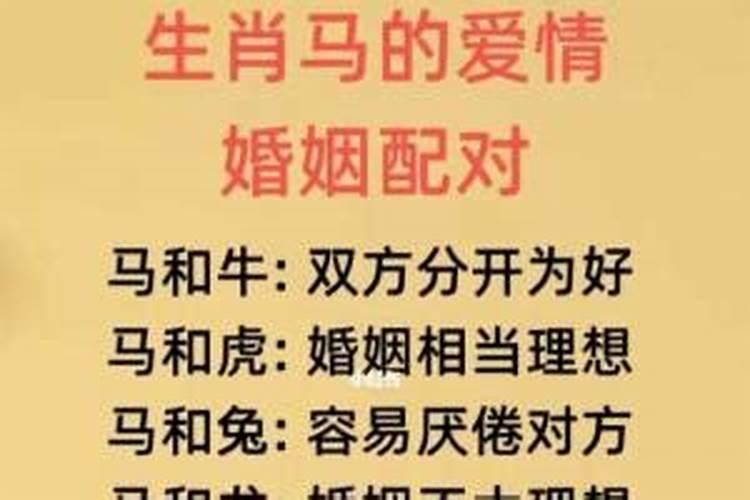 男牛女马婚姻八字测算方法