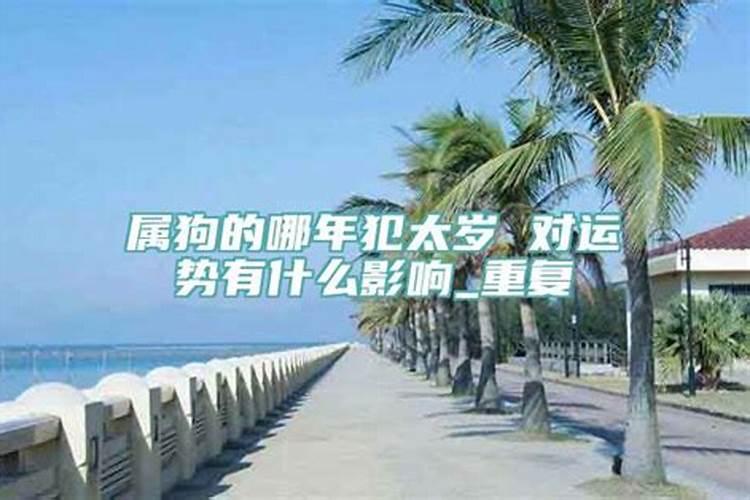 属蛇在2022年是害太岁吗