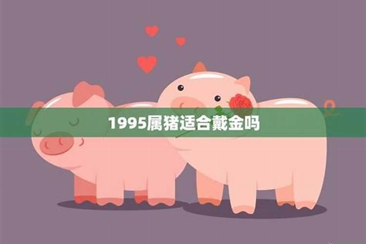 生肖猪适合什么时候结婚的人戴金