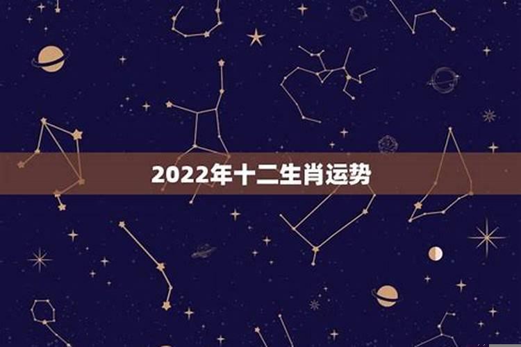 2020即将暴富的生肖是什么