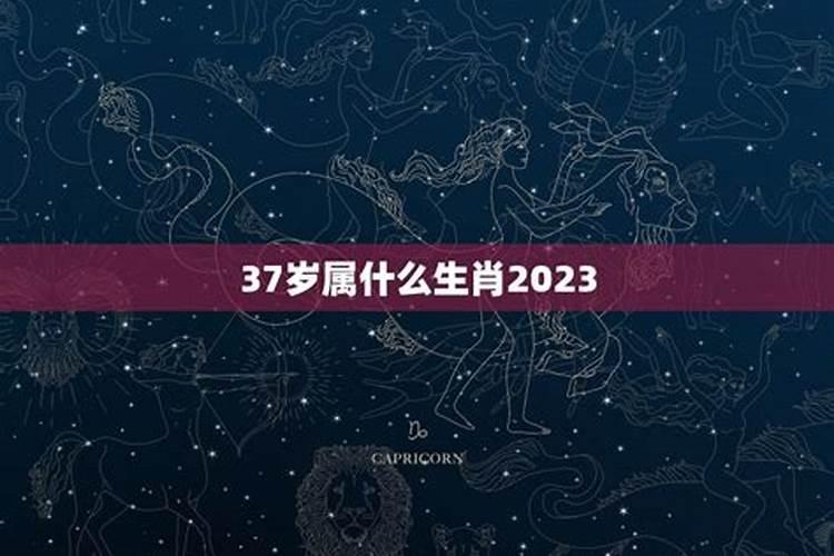 2021年37岁属什么属相