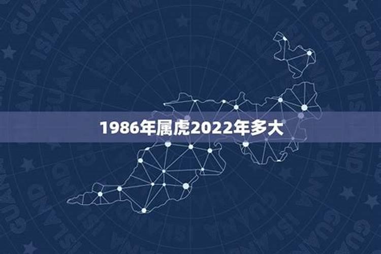 1999年到2008年多少岁