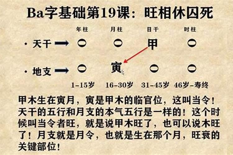 大师教你论八字