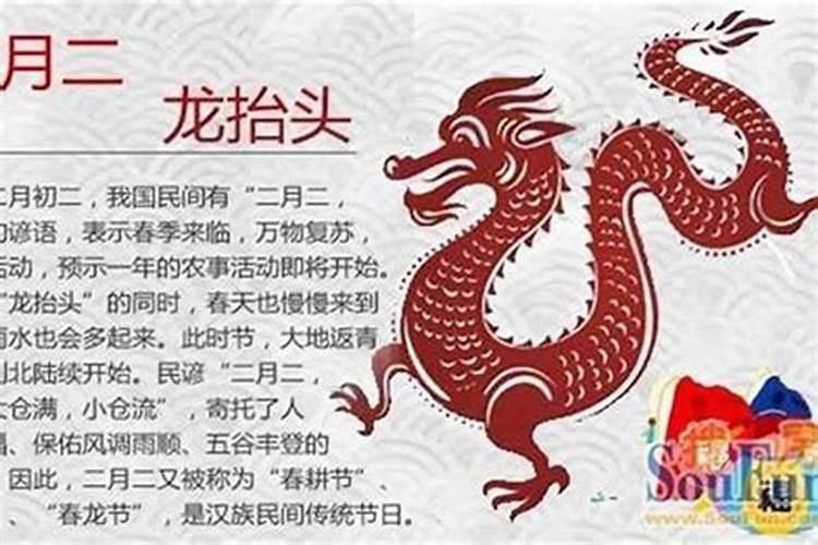 属猪今年犯太岁怎么化解