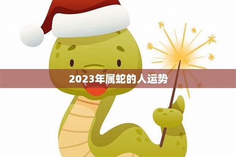 属蛇的2023年运势如何