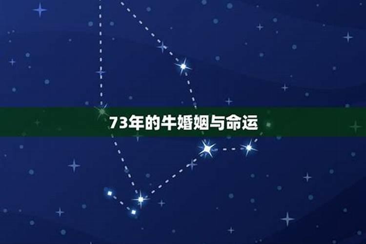 73年的牛2023年的婚姻与财运怎么样