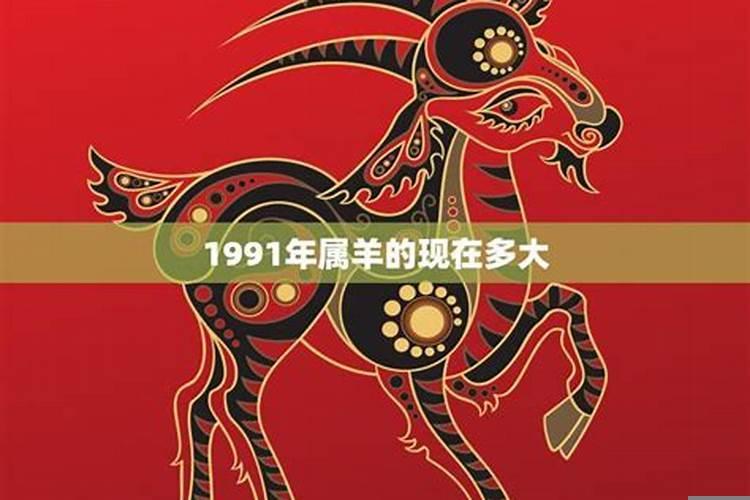 1991年属羊的2023年多大