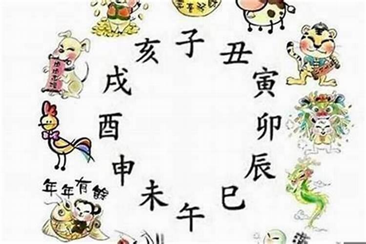 今年八岁的小孩属什么