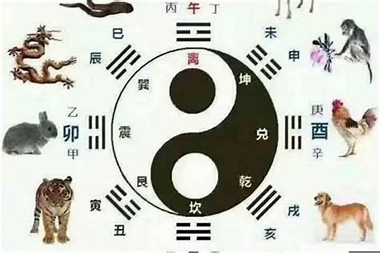 77年了蛇今年是不是最不顺的属相