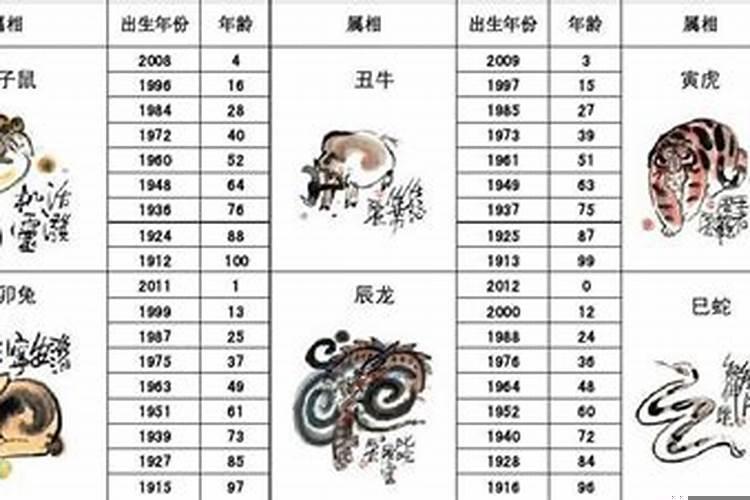 2023年28属什么的28岁属啥的