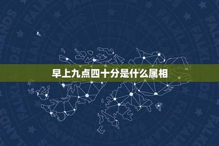 属马十一月份什么星座