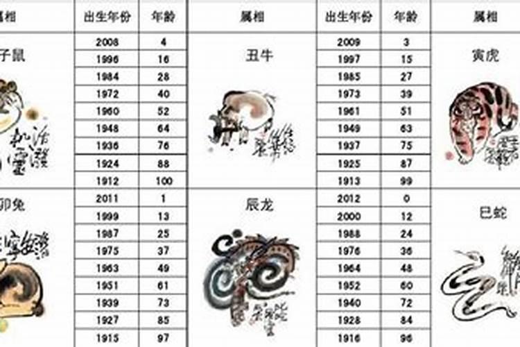 八岁了属什么的