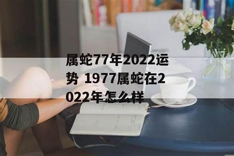 1977年属蛇的命运怎么样