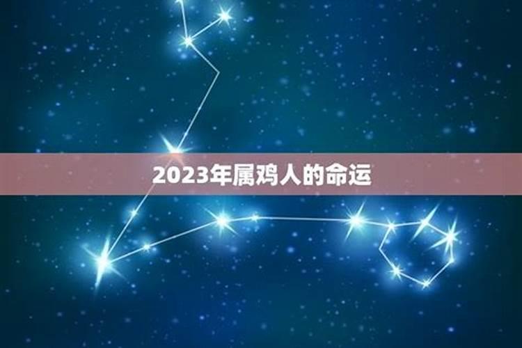 属鸡2月份出生的命运怎么样2023年