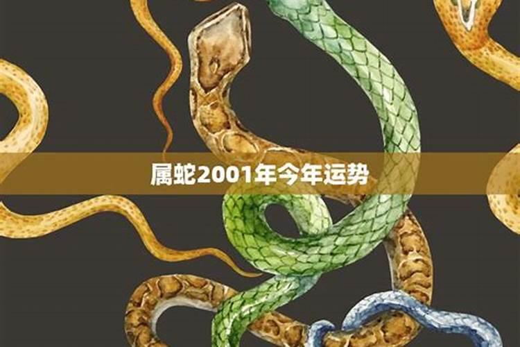 属蛇的人今年运势2023年怎么样