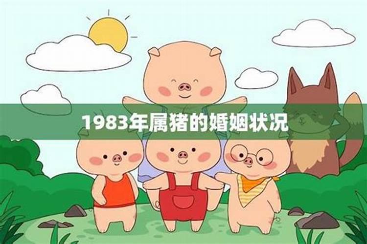 1983年属猪的男人婚姻