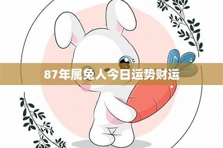 兔人今日运势财运方向如何