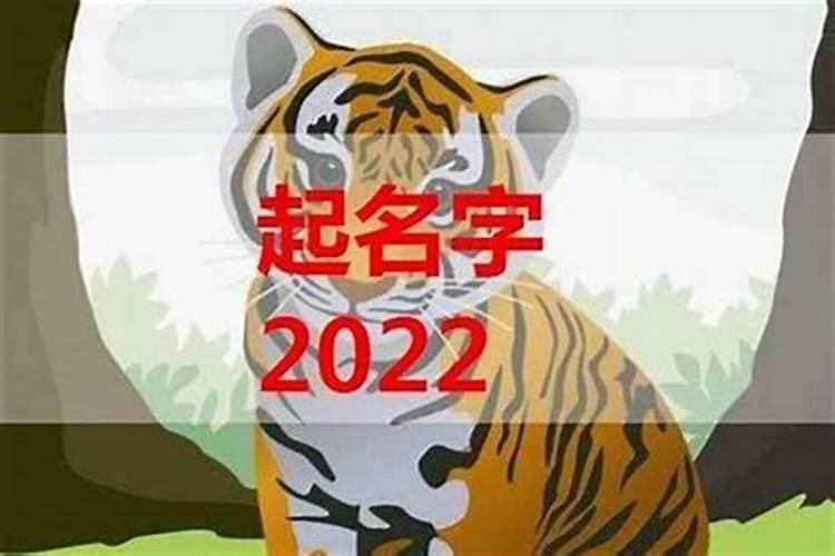 2022年属虎取名大全