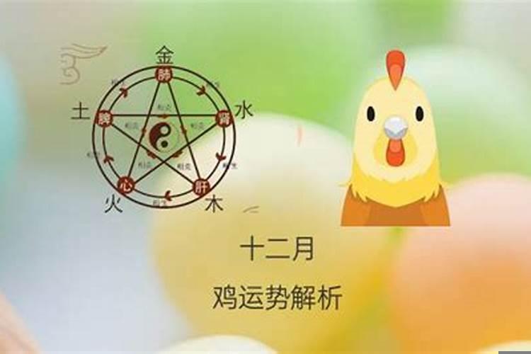 属鸡今年十二月份运势