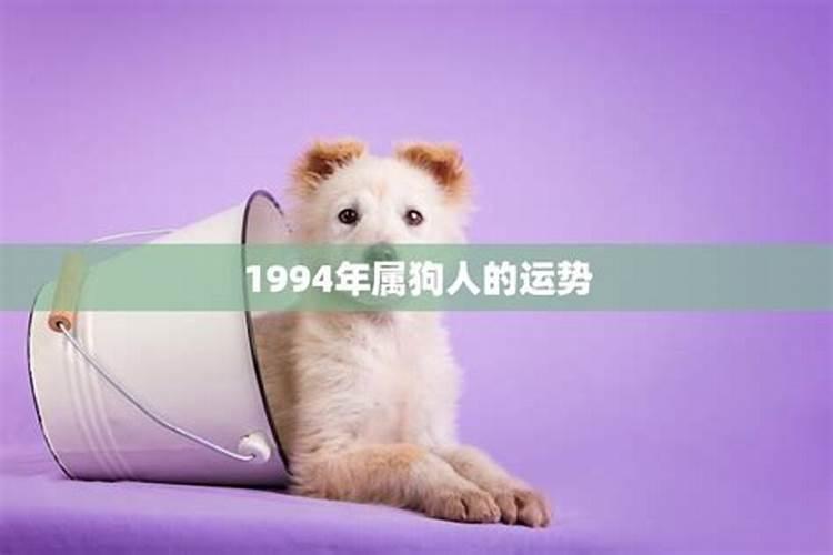 1994年属狗人2022年运势男性