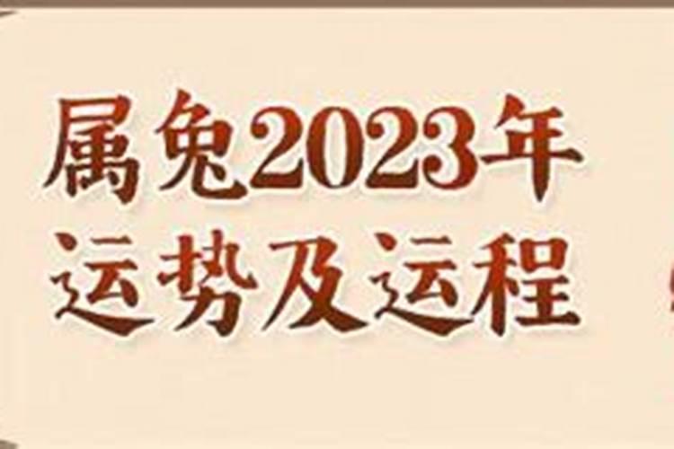 87年属兔人2023年本命年运势